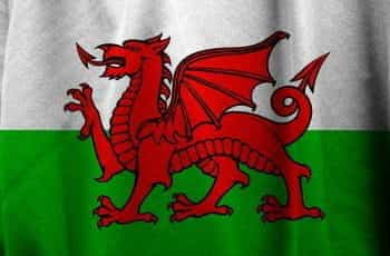 The Welsh flag.