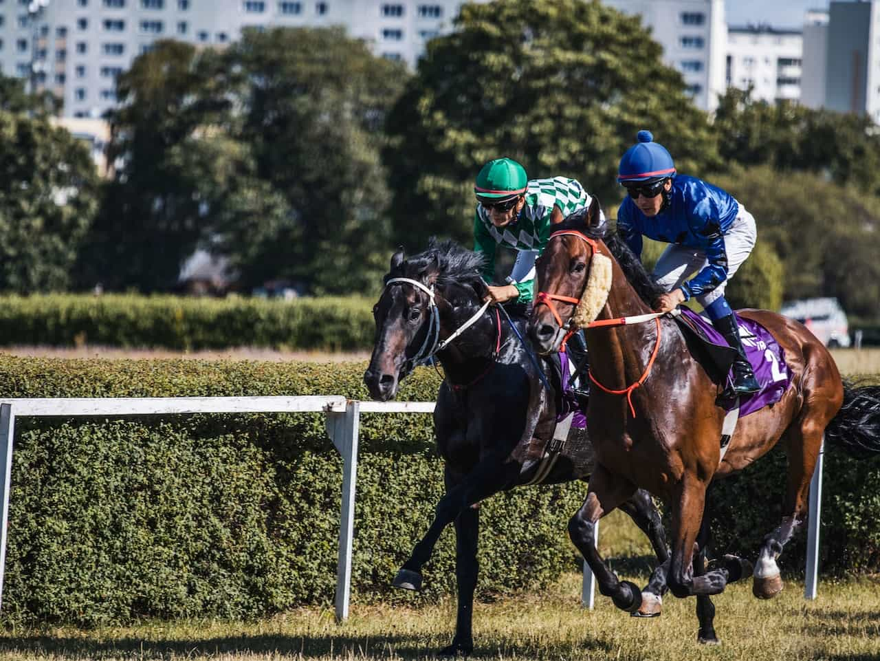 Two jockeys racing horses around a track.